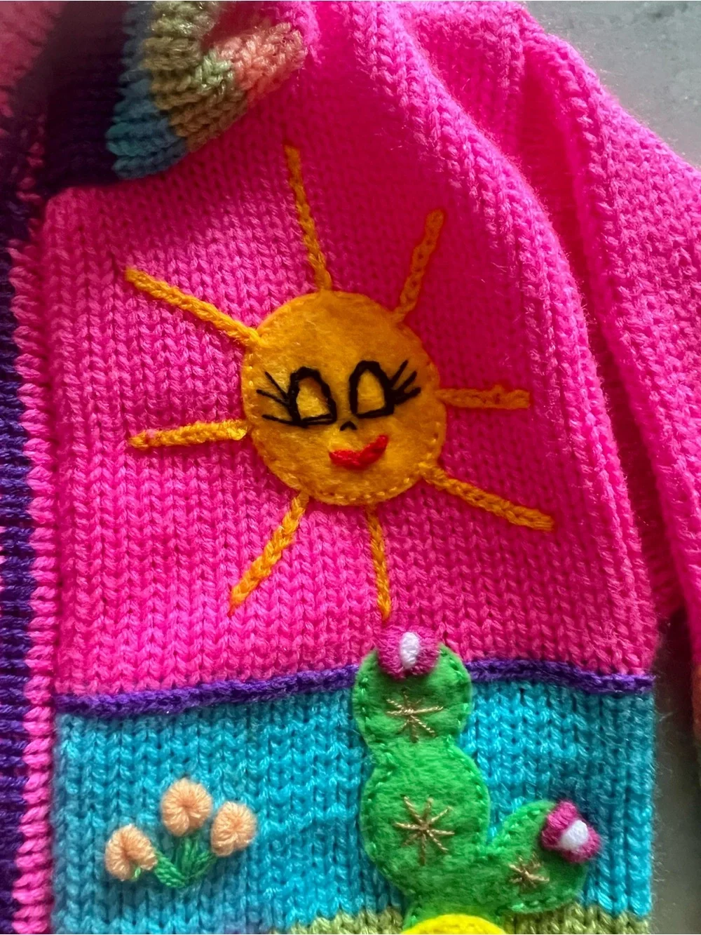Adorable Colorful Embroidered Hoodie